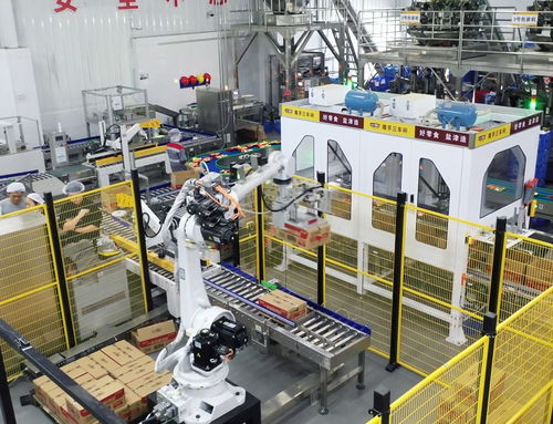 鹽津鋪子董事長張學(xué)武 以匠心與遠見，鑄就中國卓越食品制造企業(yè)